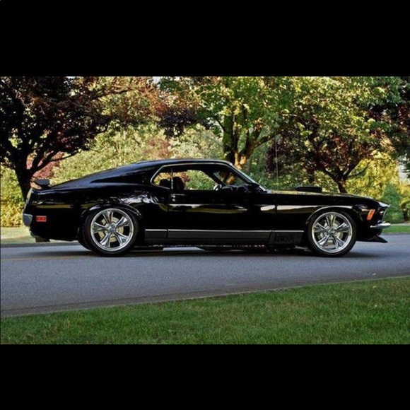 Meet your Posher, Joe - Picture 2 of 3